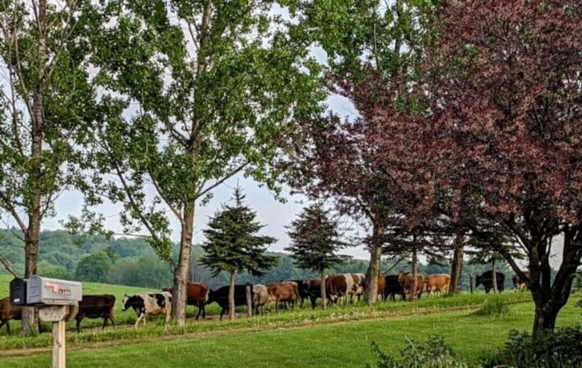Welcome to The Bull-Pen - Image 1