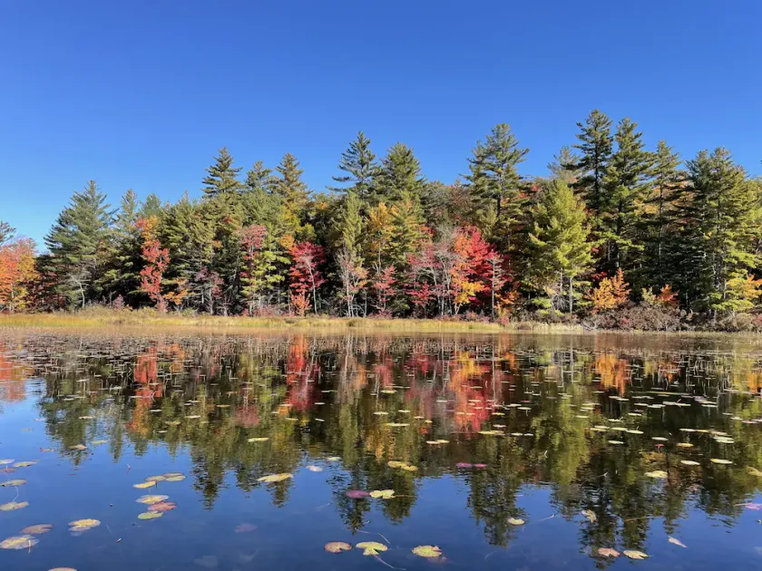 Rustic and luxurious 4 bedroom house on secluded NH lake! - Image 1