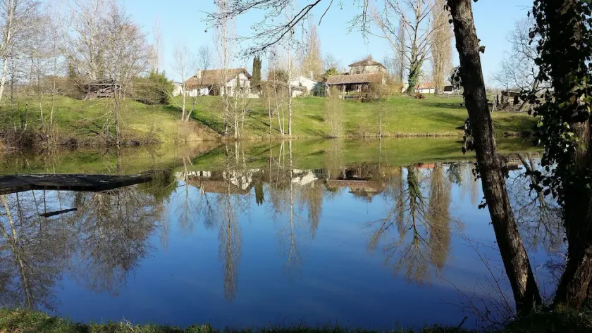 Gîte à la ferme au milieu des chevaux - Image 1