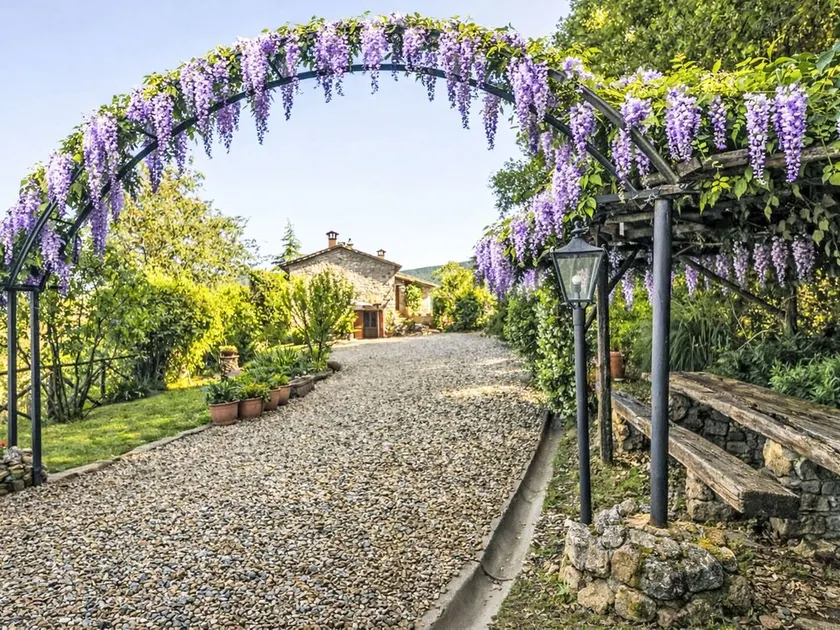 Il Casale by Interhome - Image 1