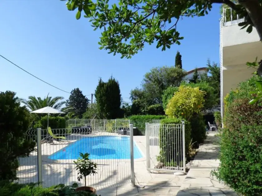 Au reveil des cigales: Mimosa - Image 1