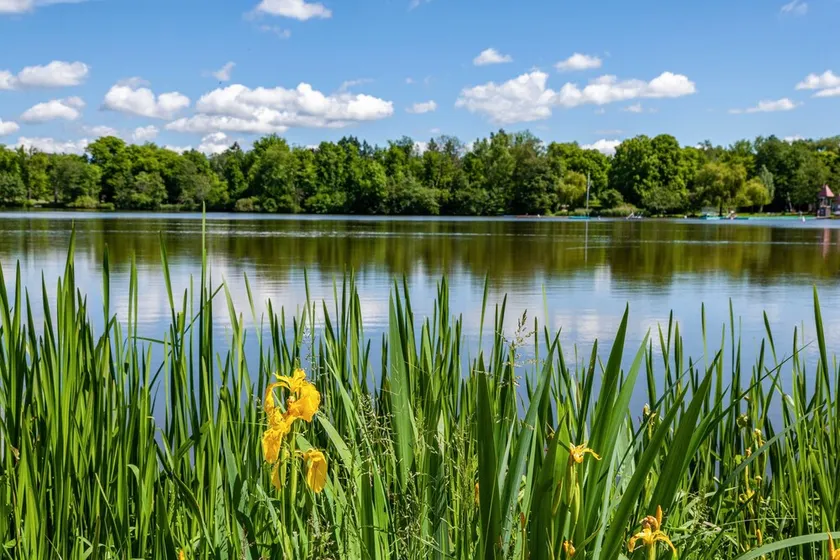 Premium Apartment Directly on Stadtsee with Lake View - Image 1