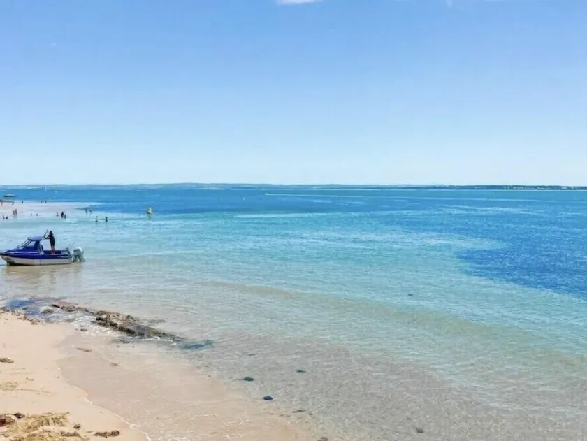 Seaford - Seabreeze; Beautiful Beachfront, 2-Bedroom Apartment - WiFi, Netflix. - Image 1