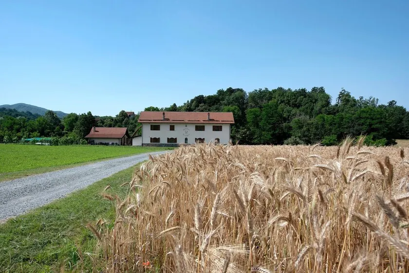 Einzimmerapartment 'Ant Ra Prina Verde' mit Bergblick und Gemeinschaftsgarten - Image 1