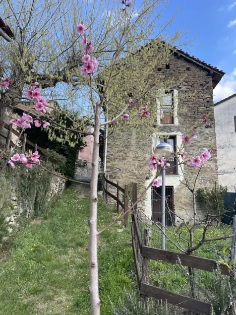 HØJ MONFERRATO STYLE HOUSE I STEN UNDER VINEYARDS - Image 1