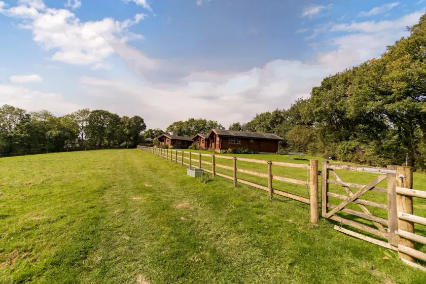 Haustierfreundliche, hochwertige Lodge, gut gelegen, um alle Ecken von Devon zu erkunden - Image 1