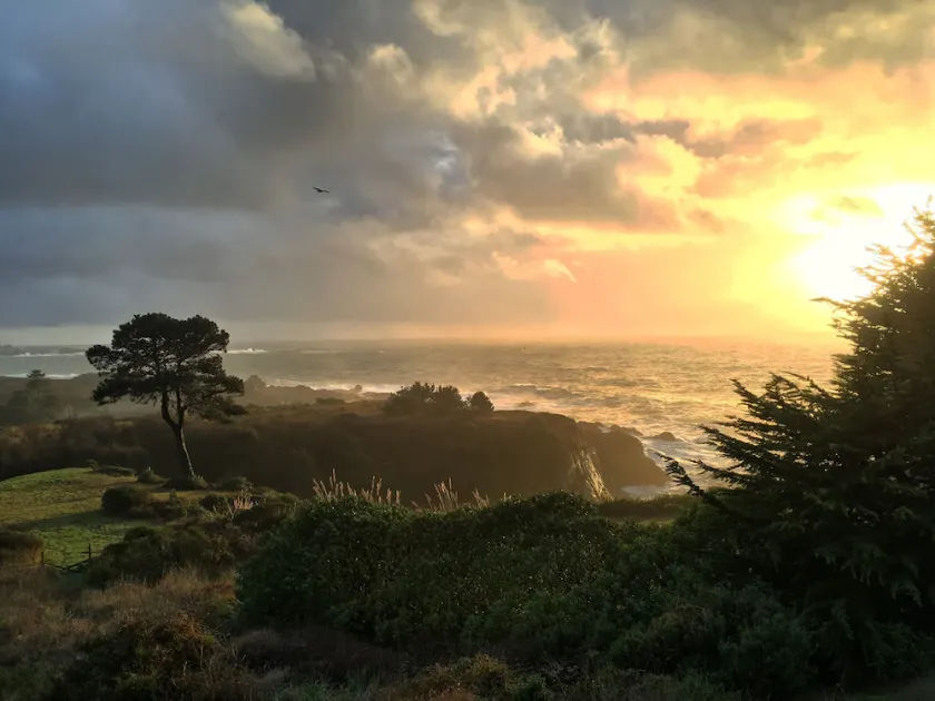 Pelican Point, vue spectaculaire sur l'océan et la côte, spa, à côté de la ville - Image 1