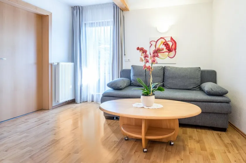 Apartment \"Klementhof Nr 7\" with Mountain View, Pool, Wi-Fi, Balcony & Garden - Image 1
