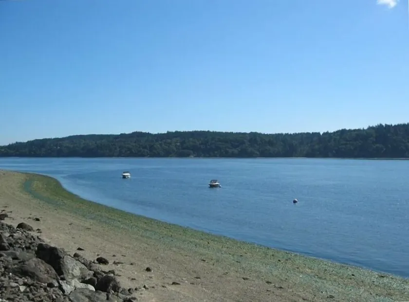 Puget Sound Beachfront Cabin * $ 179 / nt SOMMER PRISER SPECIAL * - Image 1
