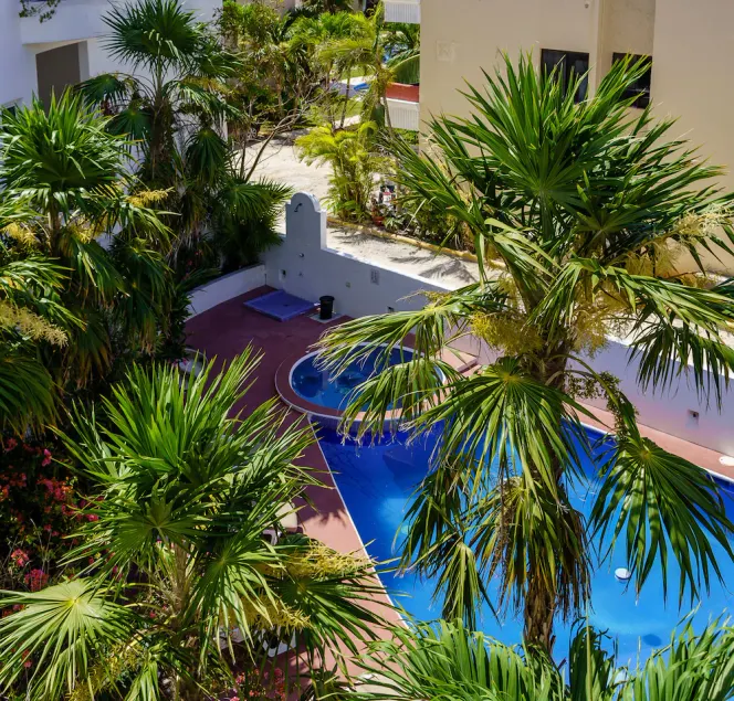 Las Tortugas A3 - beautiful 2 bedrooms condo on a beach side access in down town - Image 1