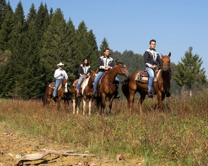 Familie- og kæledyrsvenlig Ranch Marina med heste - Image 1