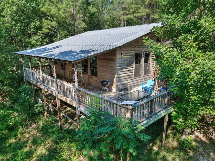 Twin Cedars Cabin in the Woods!  Birders paradise near Sipsey and Bankhead - Image 1