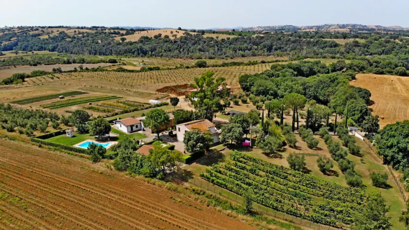 I Profumi Dell'Orto - Campagnatico - Image 1