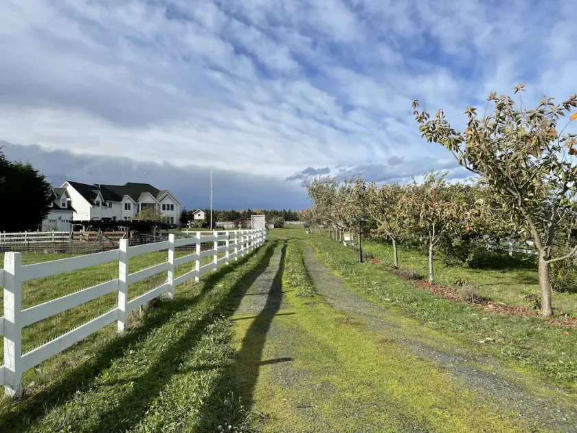 Dungeness Manor Farm in the Heart of the Dungeness Valley - Image 1