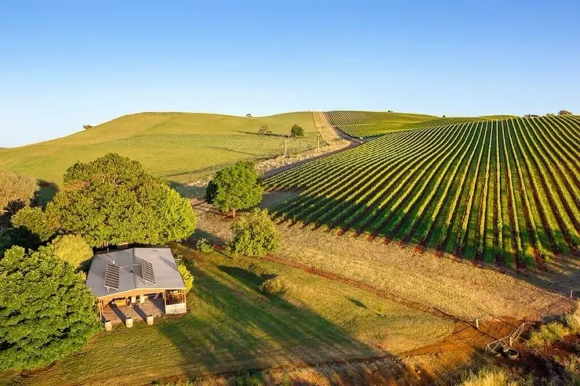 The Lodge by Mt Bellevue - Best views in the King Valley - Image 1