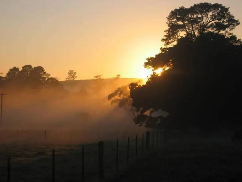 SECLUDED, QUIET, PRIVATE \"FERNDALE\" B&B Farm Stay \n5mins to BUNDANOON or EXETER - Image 1