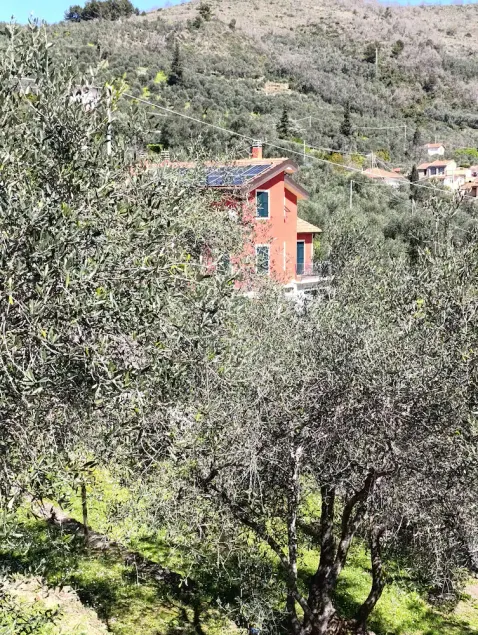 LAVANDA cottages country house with sea view in the middle of garden and olive grove - Image 1