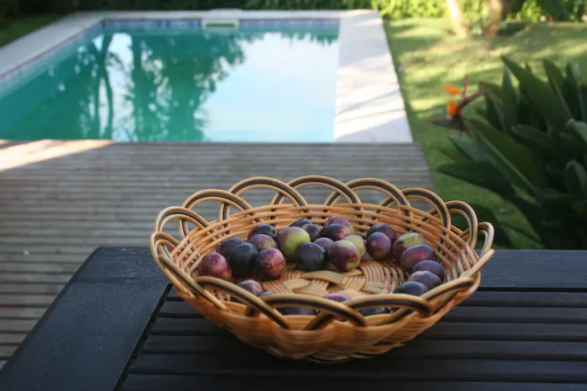 HOMEinLAND of Earthy (Povoa de Varzim) | Villa con piscina, grill e vista mare - Image 1