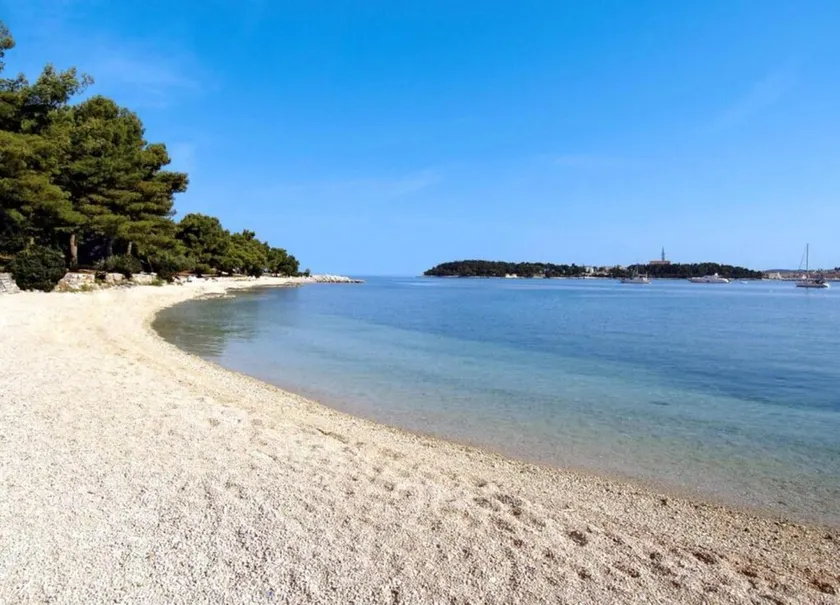 Charming Villa With Heated Pool Near Rovinj - Image 1