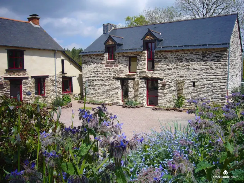 Cottage arredato 6 persone in Bretagna alle porte della piscina all'aperto di Brocéliande - Image 1