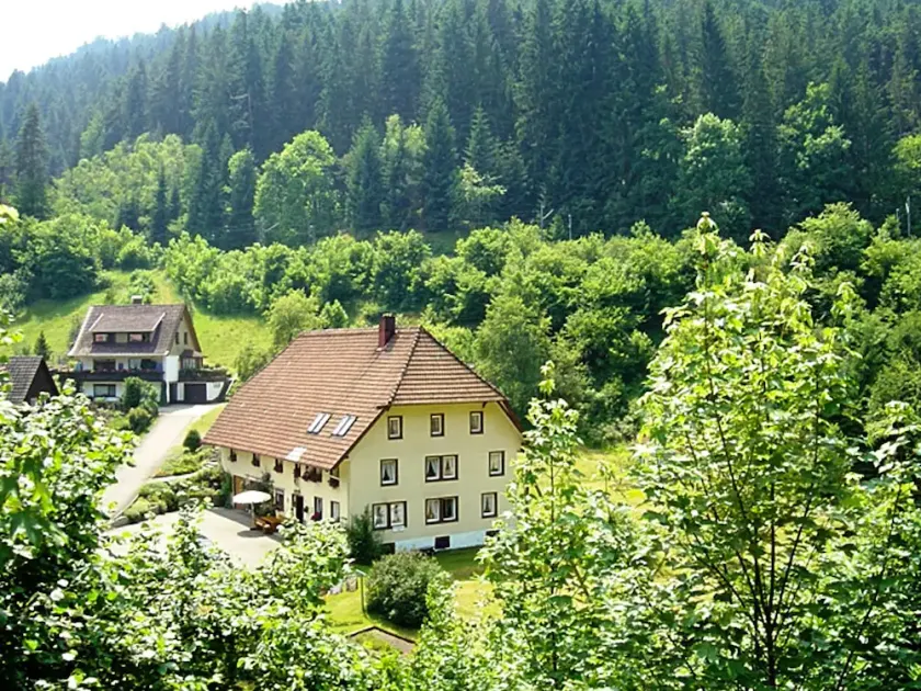 Forest Family Stay, Triberg - Image 1