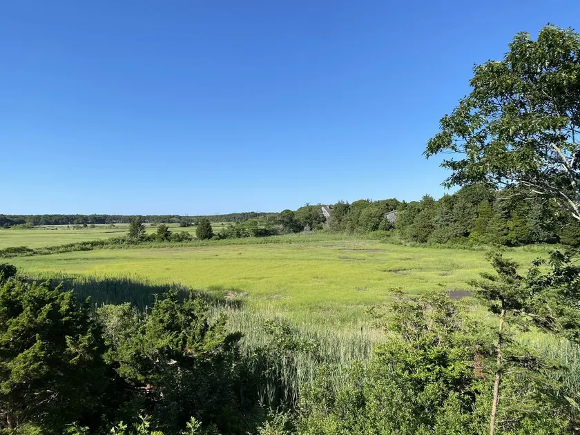 Eastham, Cape Cod: Rymlig, samtida udde med vidsträckt utsikt över träsket - Image 1