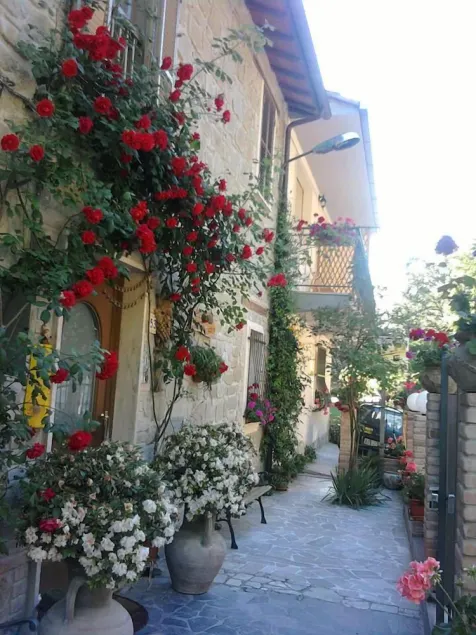 B&B Villa Filetta - Image 1