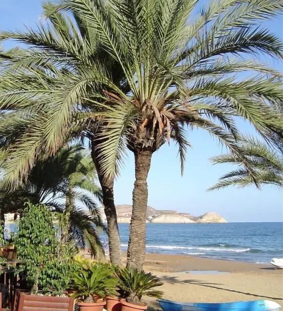 La Diosa Gaia in San Juan de los Terreros - Image 1