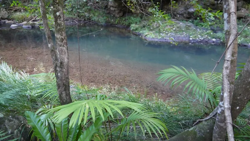 Sine Cera Rainforest Retreat - Image 1