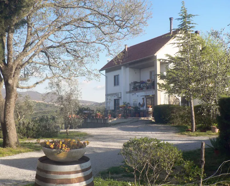 Villa in the Maremma with an exclusive pool - Image 1