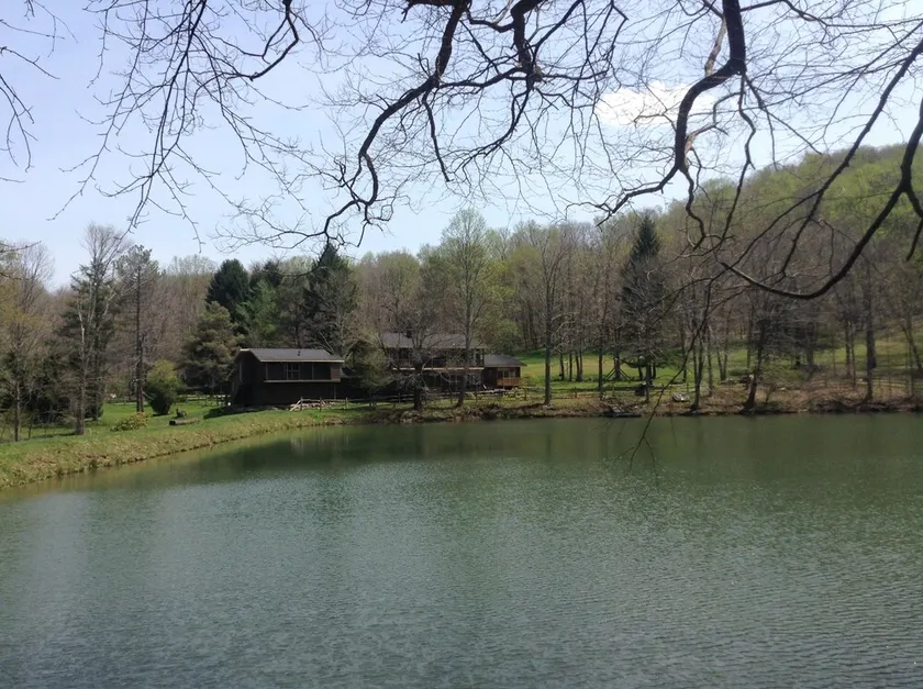 Et moderne hus i et stort naturreservat i Ligonier Valley! - Image 1