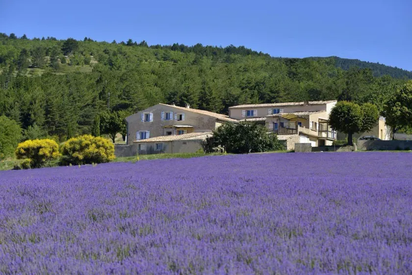 Entre Ventoux et Luberon  *** - Image 1