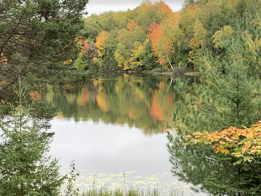 Quiet, peaceful cottage on the lake - Image 1