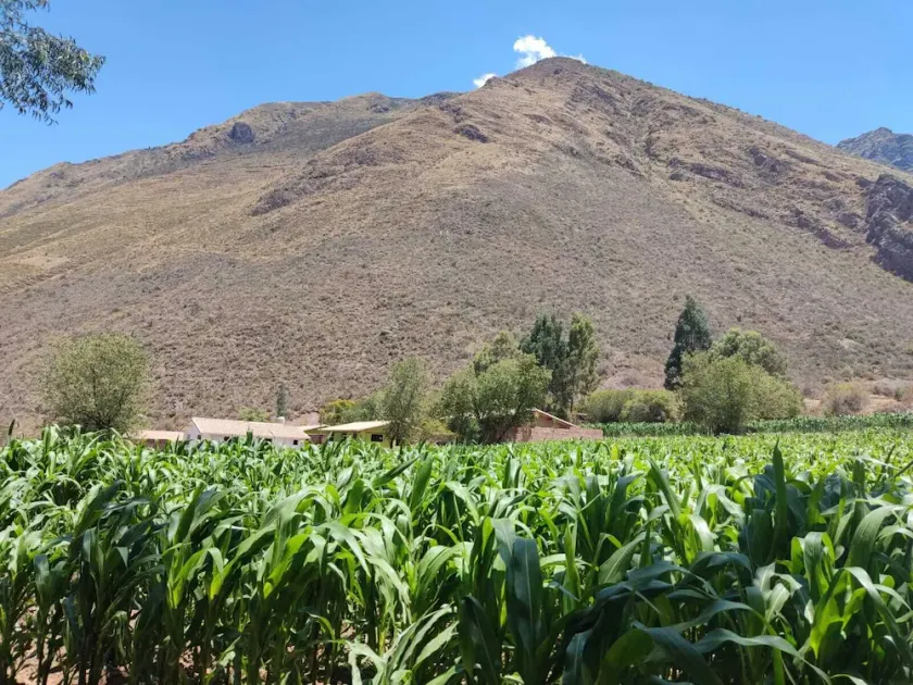Adobe house close to all the attractions of the Sacred Valley - Image 1