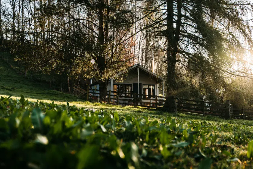 Idyllic wooden cabin 45 minutes away from Edinburgh & Glasgow - Image 1