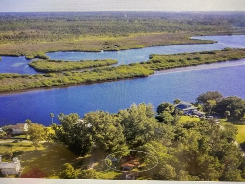 Myakka River - Image 1