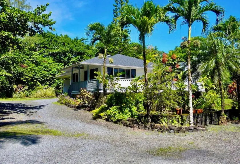 Jungle Cottage: Watch Whales - Image 1
