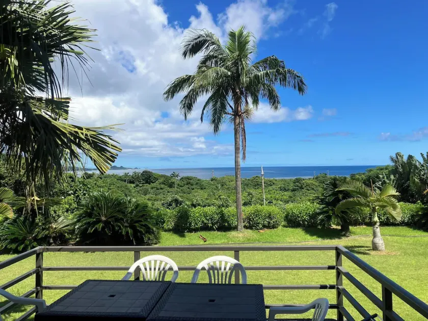 South Sea Ishigaki - Image 1