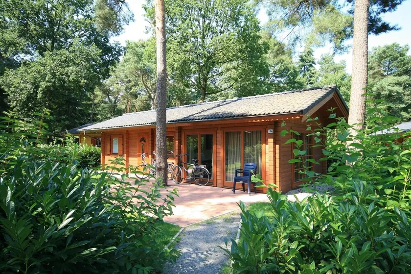Wooden chalet with dishwasher, 30 km. from Maastricht - Image 1