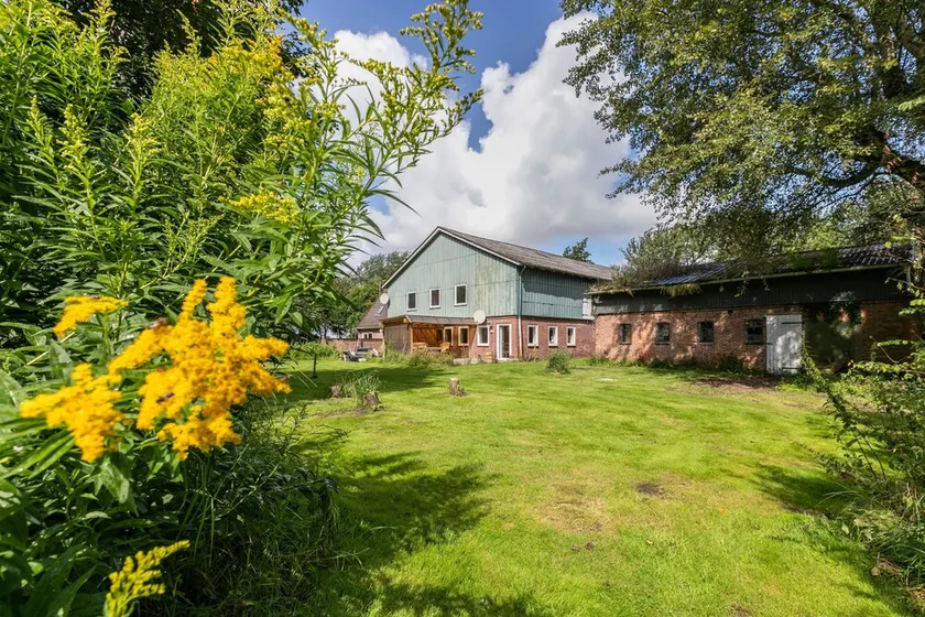 Ferienwohnung "Rohrdommel" - Image 1
