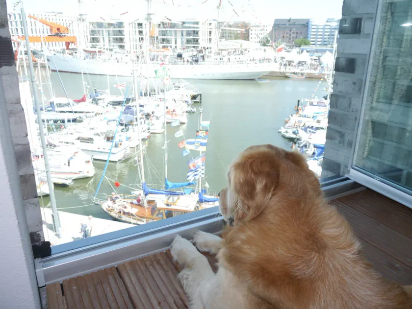 Wonderful views, wonderful and direct waterfront location in the middle of the Havenwelten! - Image 1