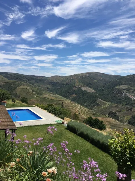 Set in un suo vigneto con l'esclusiva vista sulla valle per una completa privacy! - Image 1