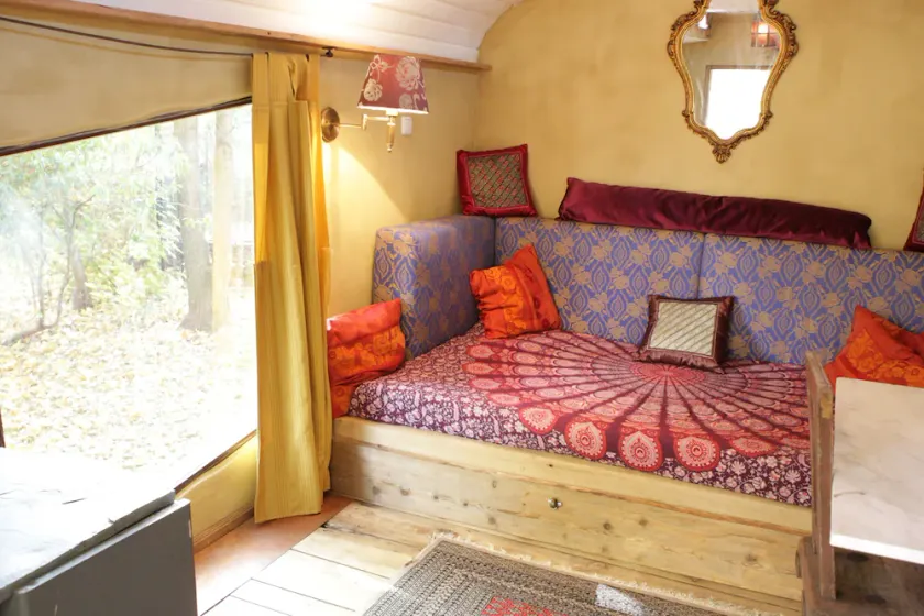 Tinyhouse under the trees - Image 1