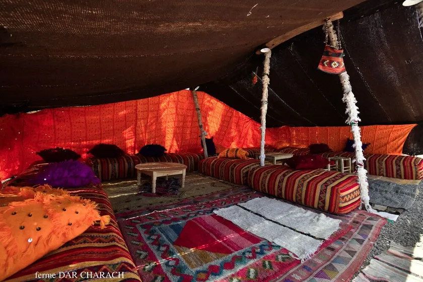 luxury tent in a Farm - Image 1