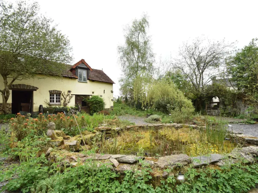 Cosy studio in wooded area with barbecue - Image 1