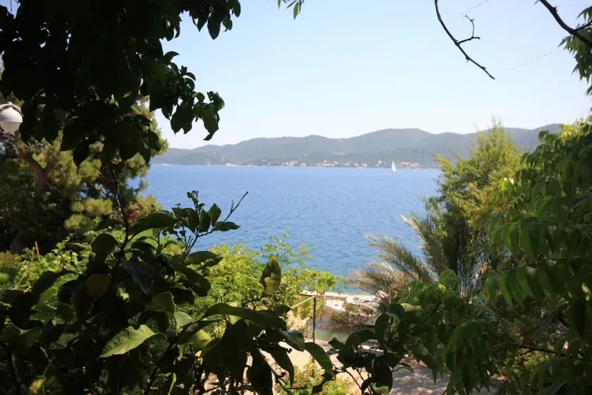 Apartamento para dos personas en la playa Viganj, Peljesac (A-633-c) - Image 1