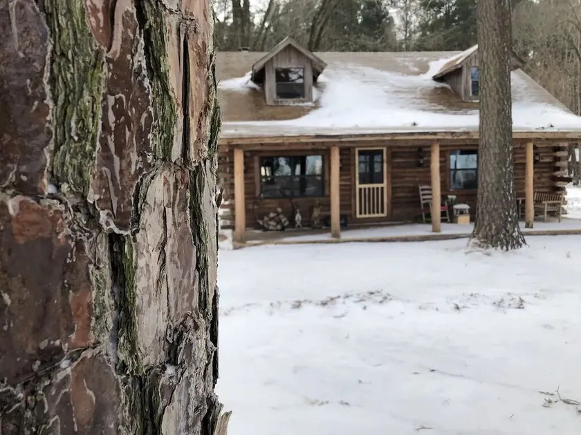 Cora's Main Log Cabin - Image 1