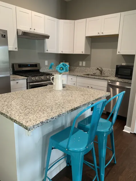 Ample Space in Grant Park, Close to Everything! - Image 1