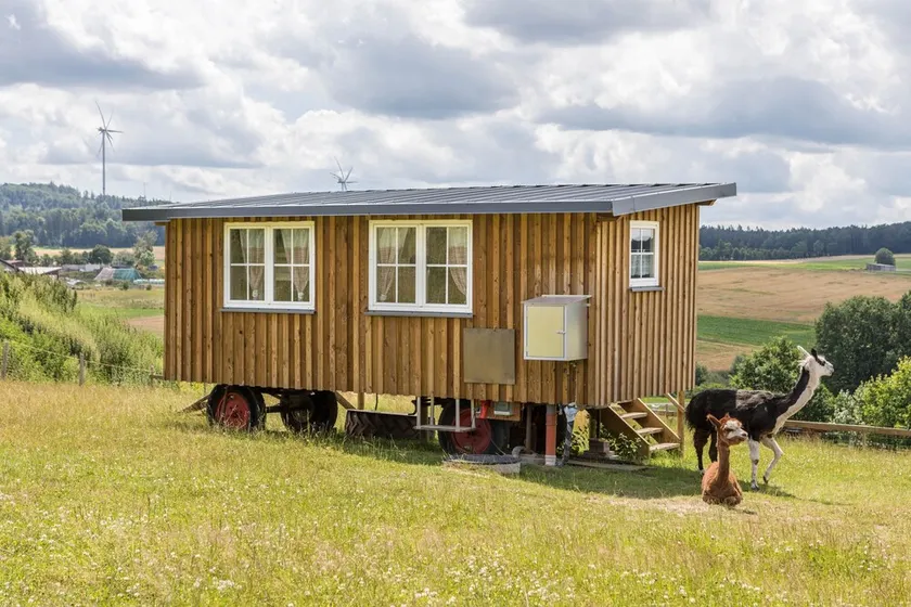 Tinyhouse Alpakawiese - Image 1