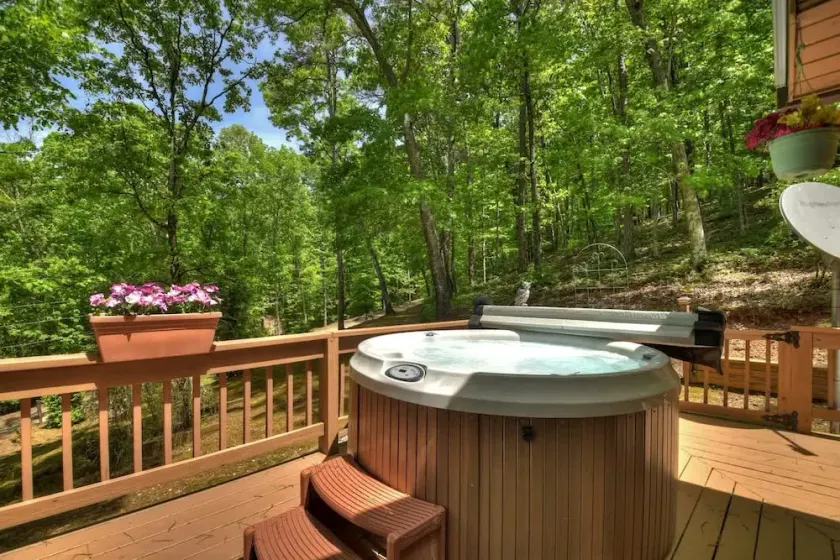 Goldfinch Rustic - Retreat w Hot Tub& Fire Pit - Image 1